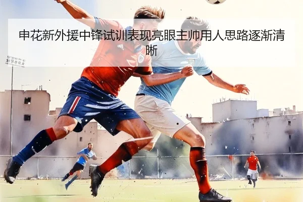 申花新外援中锋试训表现亮眼主帅用人思路逐渐清晰